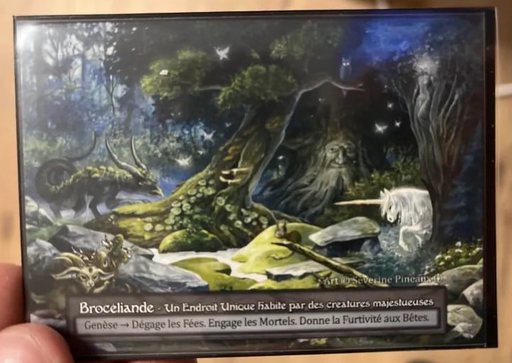 Broceliande Arthurian Curio by Severine Pineaux